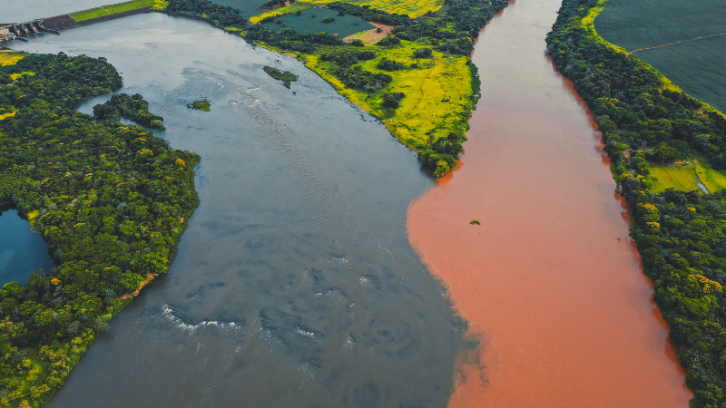 Amazônia